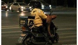 成都骑手爆料事件视频播放,揭露外卖行业背后真相